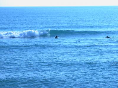 20080101162201-dscn0013.jpg